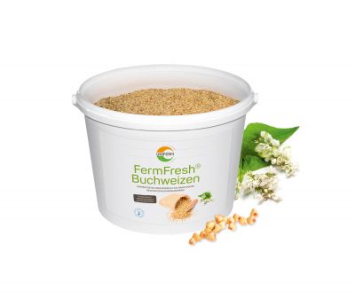 Eimer_mit_Deko_FFBuchweizen.jpg