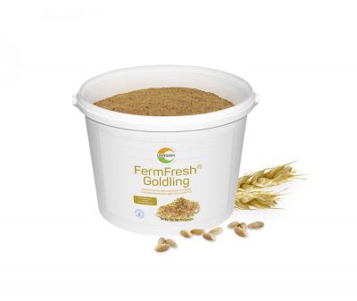 Eimer_mit_Deko_FFGoldling.jpg